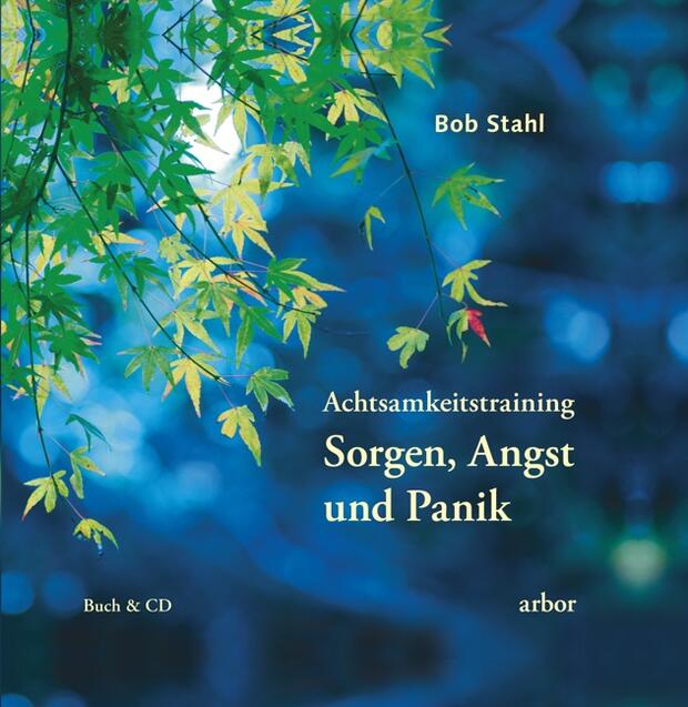 Bob Stahl & Lienhard Valentin: Achtsamkeitstraining "Sorgen, Angst & Panik"