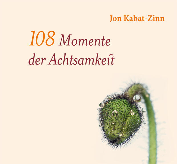 Jon Kabat-Zinn: 108 Momente der Achtsamkeit