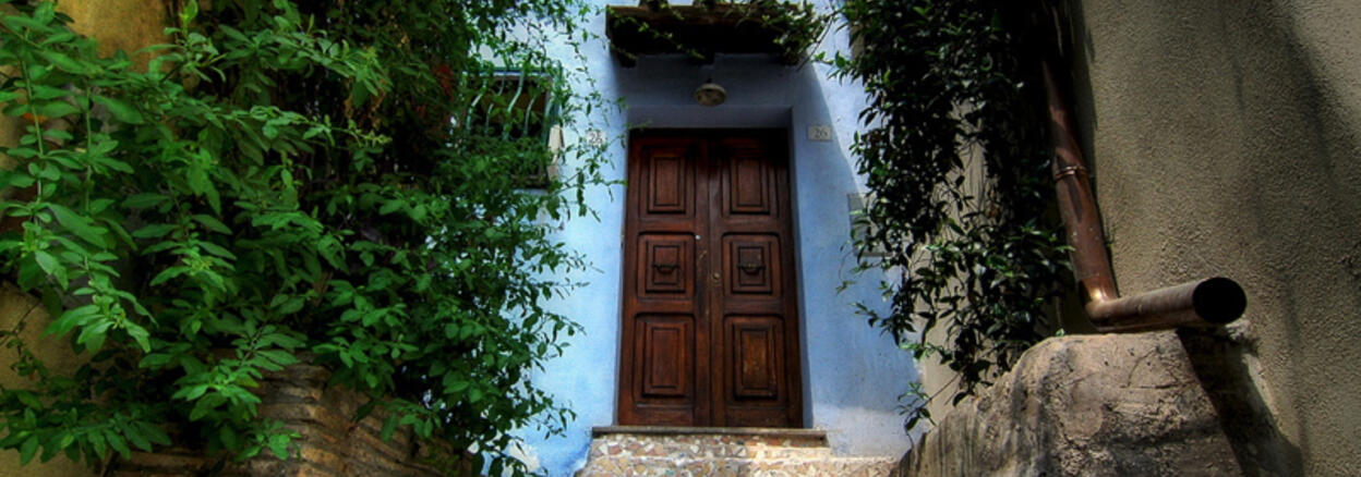 Der Pfad und die Eingangstür: Tür